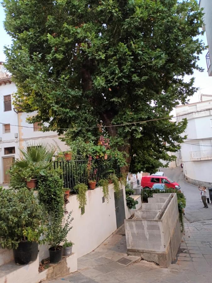 Apartamento El Pilar Guejar Sierra Buitenkant foto